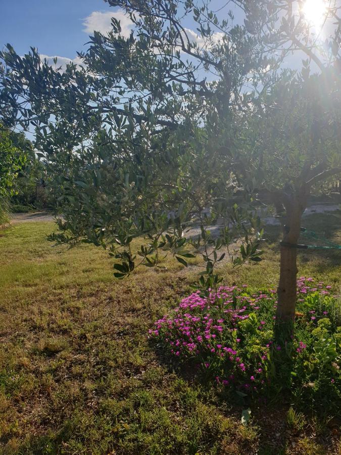 Apartmani Goga Seline Exteriér fotografie